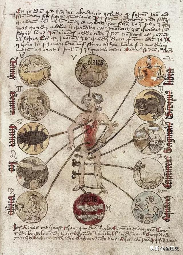 脑洞大开理发师,脑洞大开当代华佗