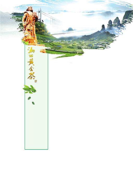 张家界湘西黄金茶,湘西黄金茶泉城飘香