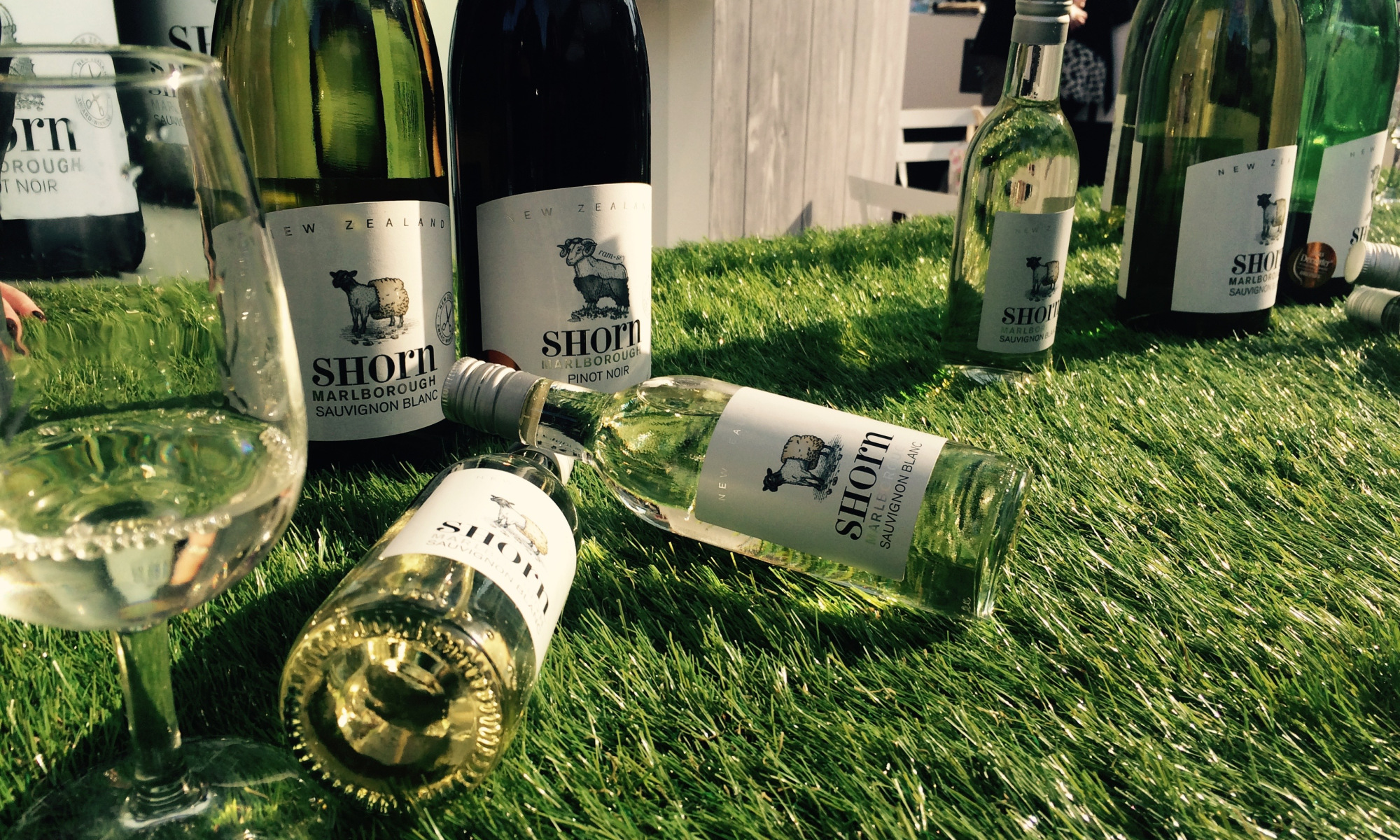 什么牌子的葡萄酒最好,丹凤葡萄酒哪个牌子最好