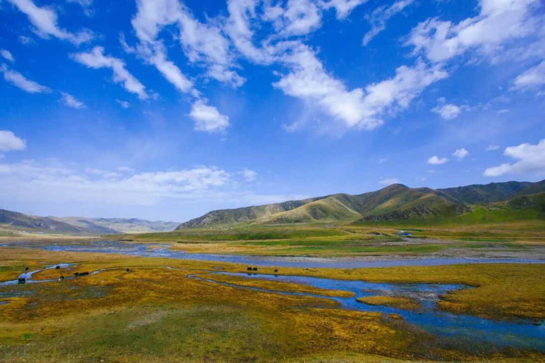 送亲戚年礼讲究什么呢,论过年亲戚的送礼