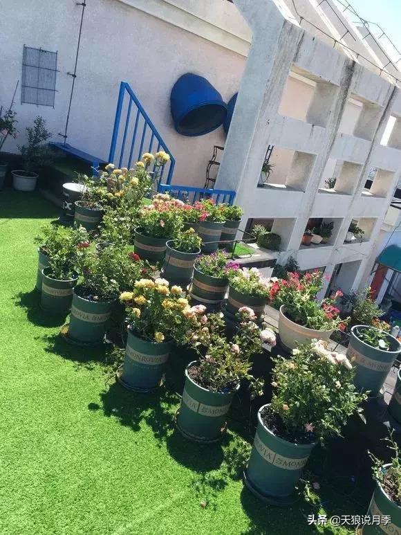 露台打造花海,她用10年改造庭院