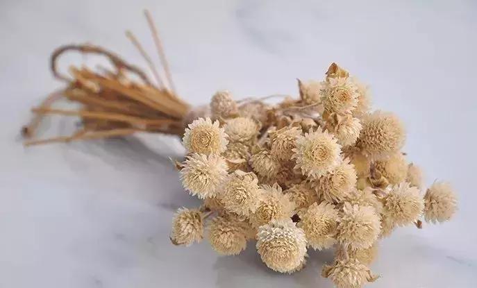 8种能做干花的鲜花，男朋友送的花就这么做