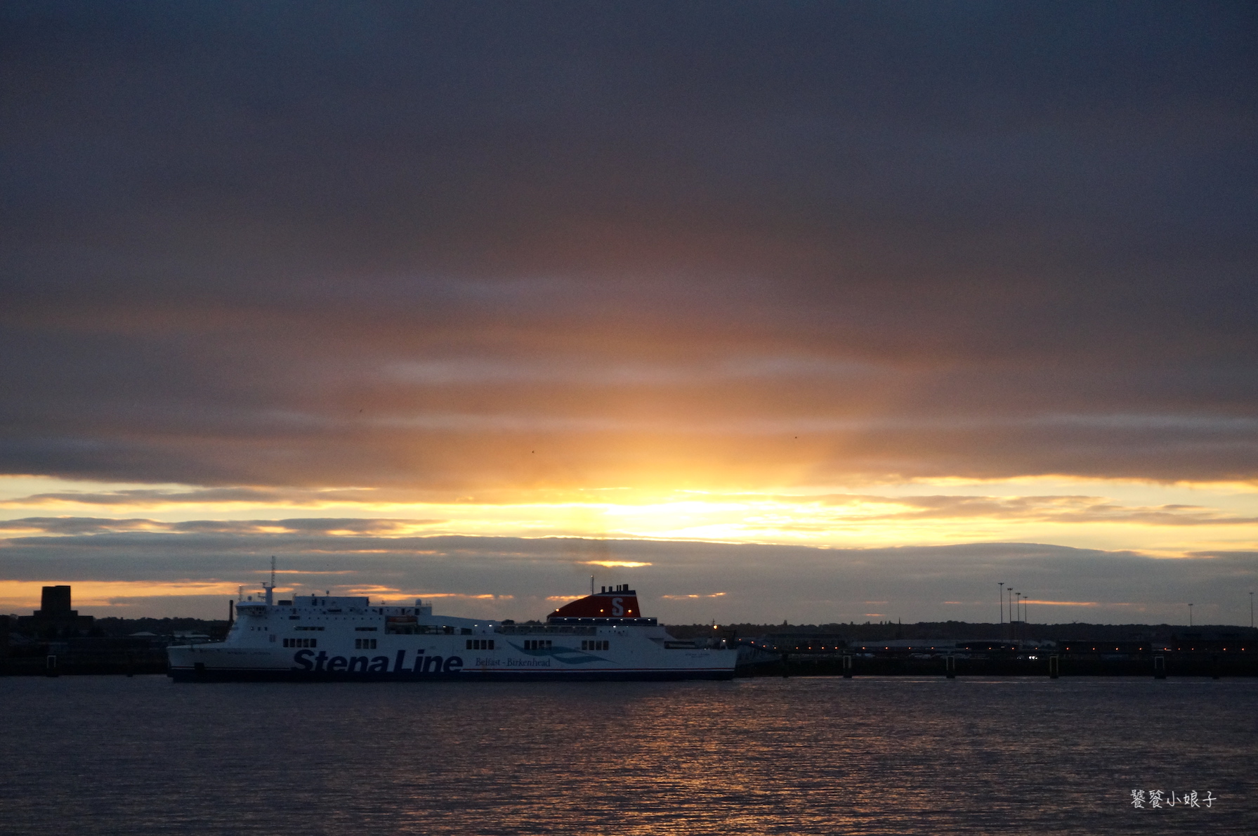 利物浦队徽上是什么鸟,利物浦队徽上的是什么鸟