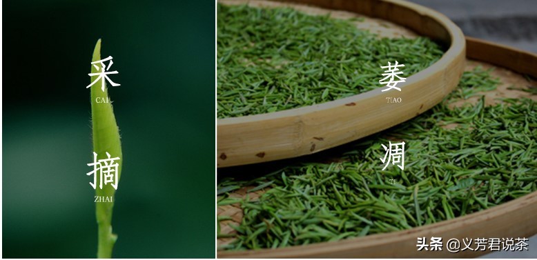 金骏眉是不是祁门红茶,金骏眉是不是正山小种