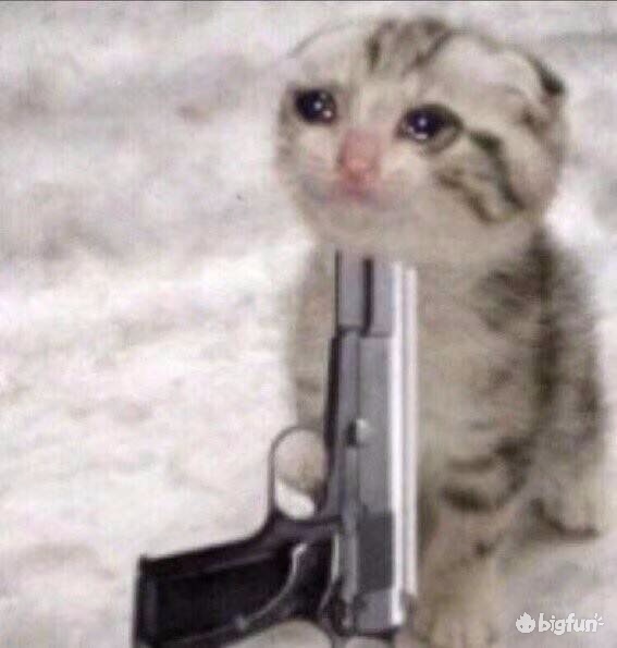 「DDD的主题周游荐」世界如此沙雕,我却如此暴躁