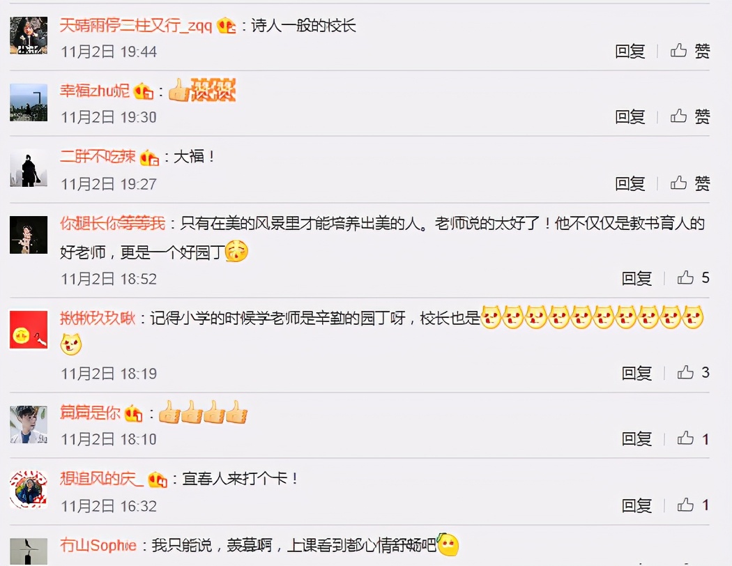 美哭了！小学校长为学生种了一片花海