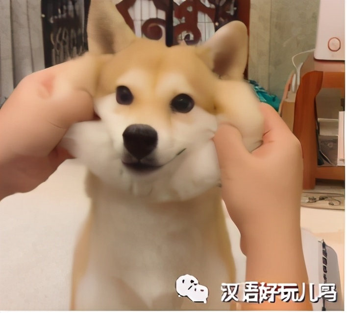 四川话会说不会写的动词,四川方言中难写的字