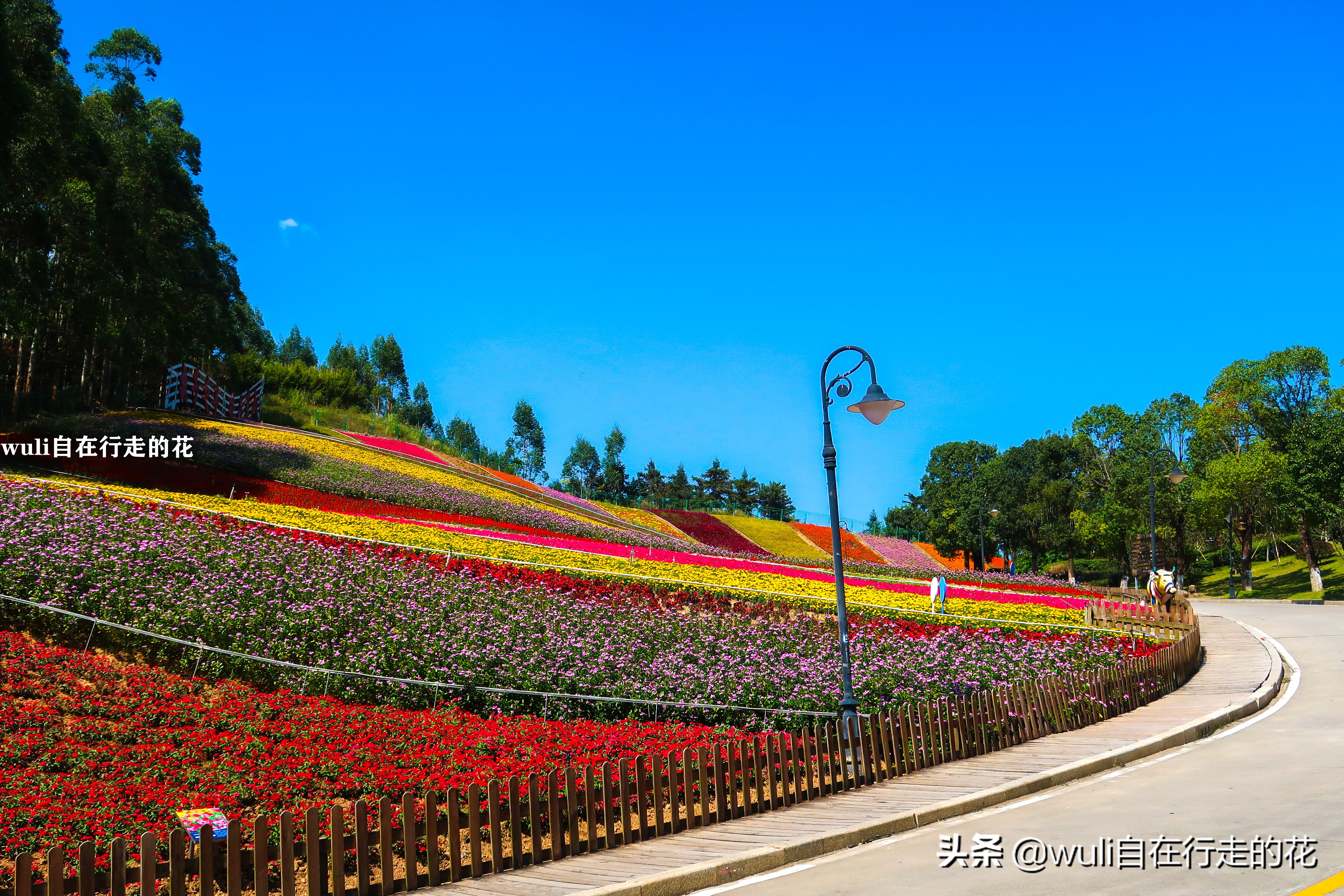 漳州长泰十里蓝山攻略,长泰县十里蓝山