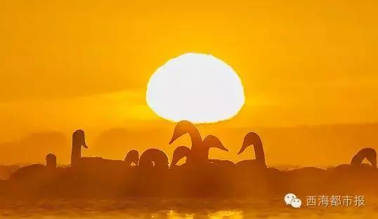 满福青海,青海人的冬天怎么过