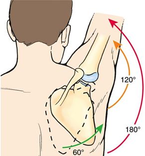 健身卧推肩膀受伤怎么恢复,卧推肩膀受限如何改善