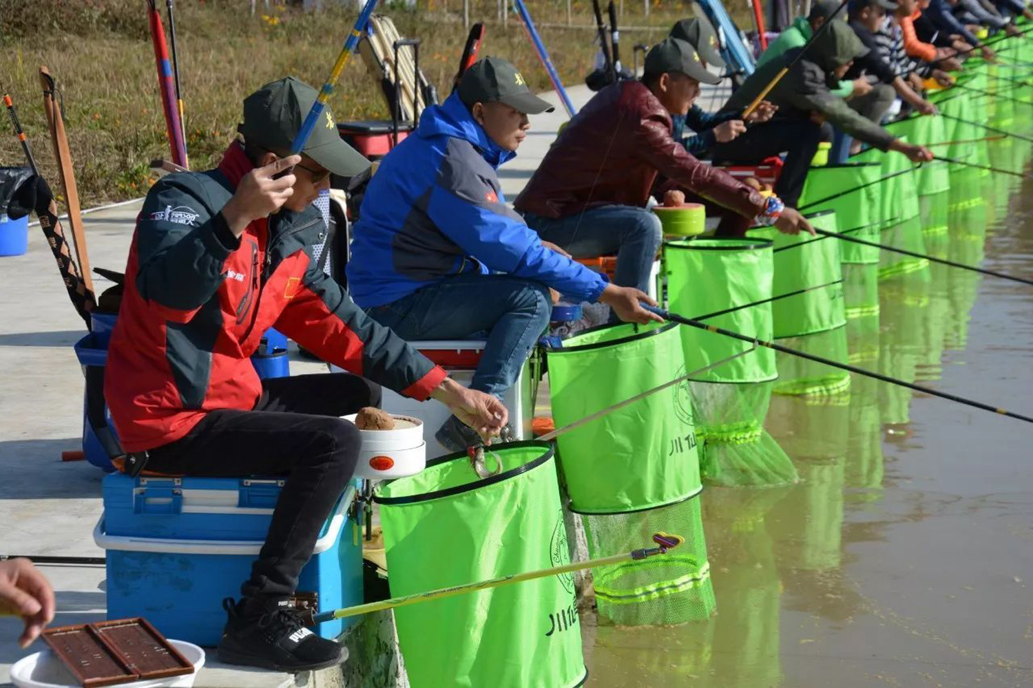 夏季钓鲤鱼小黄面配什么饵料最好,小黄面饵料钓鲤鱼是哪种