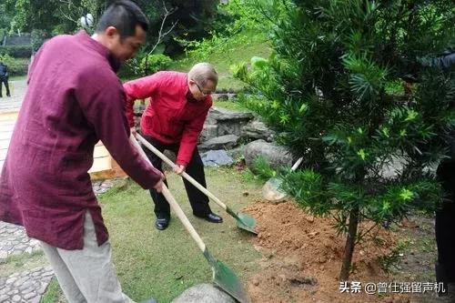 种树精神曾仕强,曾仕强教授老祖宗的智慧不能遗忘