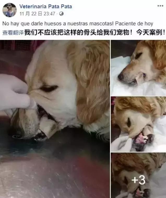 福懋动物医院解放大道分院,福懋动物医疗中心