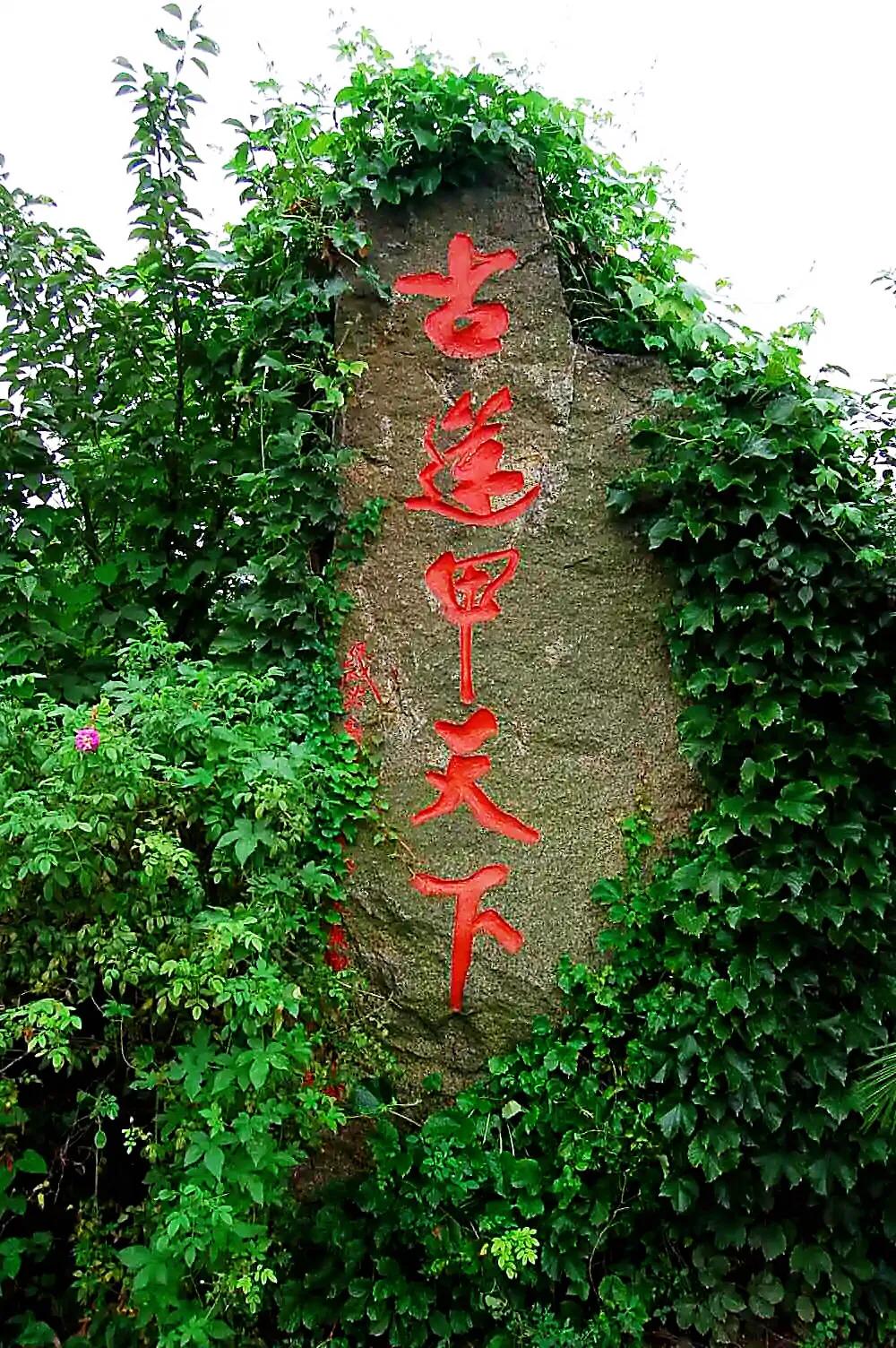 荷花品种大全及名称图片,荷花品种及名称大全图片