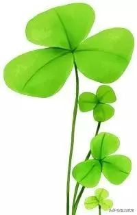 国际家庭日也叫世界家庭日吗,国际家庭日哪一年定的