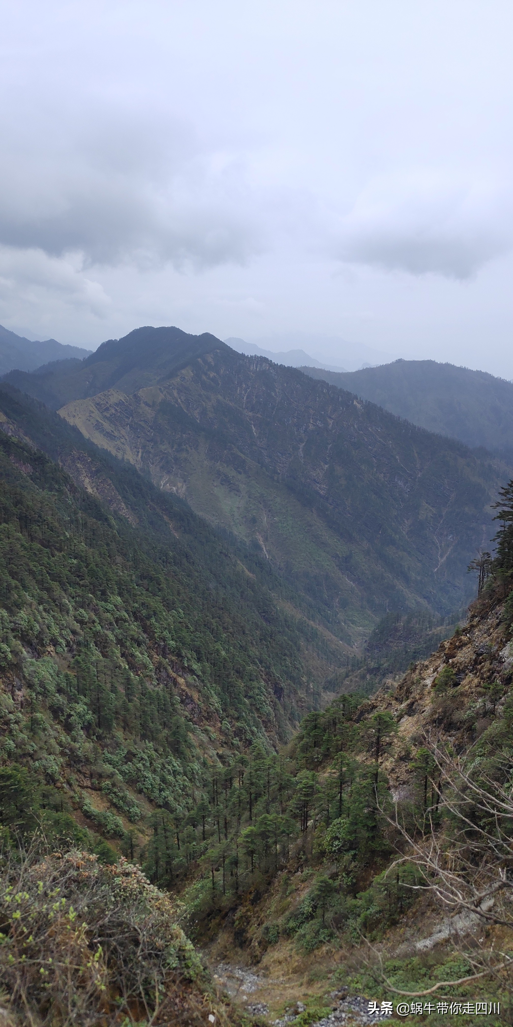 成都去西岭雪山两天一夜旅游团,成都出发雪山旅游