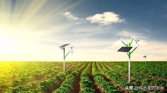 怎么购买各地特产,土特产走向全国