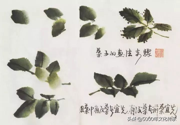国画技法月季花写意画法详解,中国画写意月季花的详细画法
