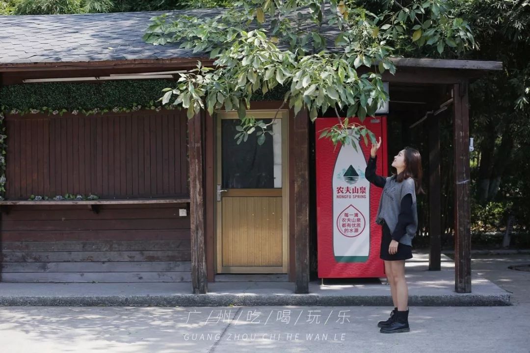 广州免费室内拍照地方推荐,广州拍照免费场景推荐