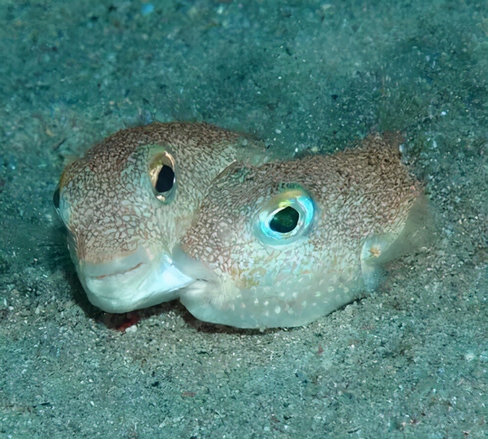 生活冷知识,生活冷知识短视频大全最新