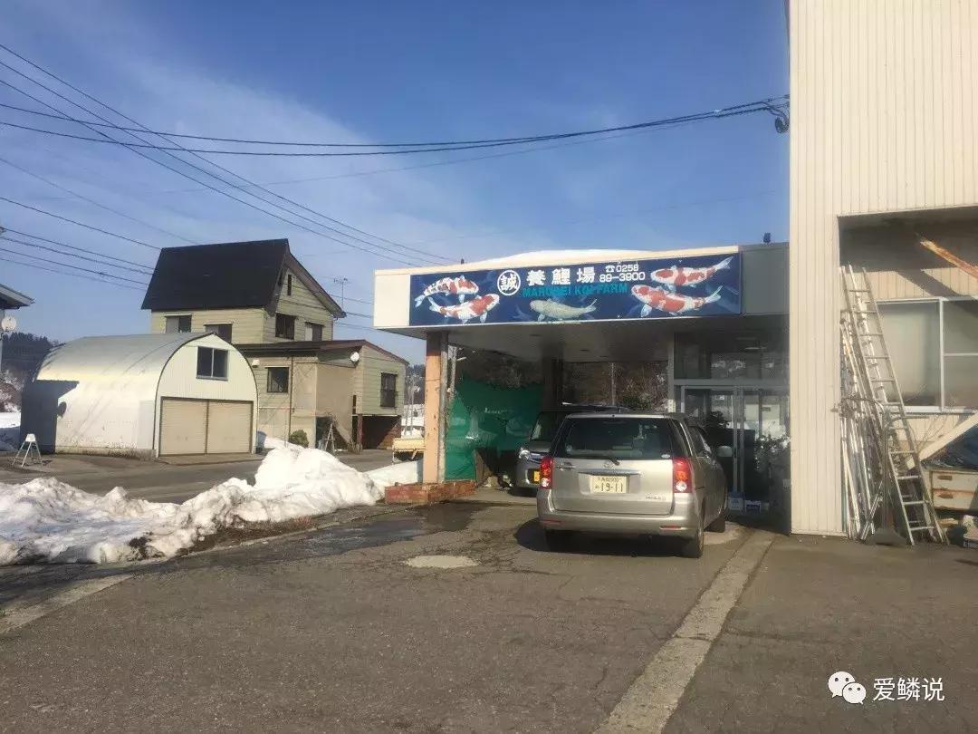 全场八折优惠活动正在火爆进行中,锦鲤网上商城