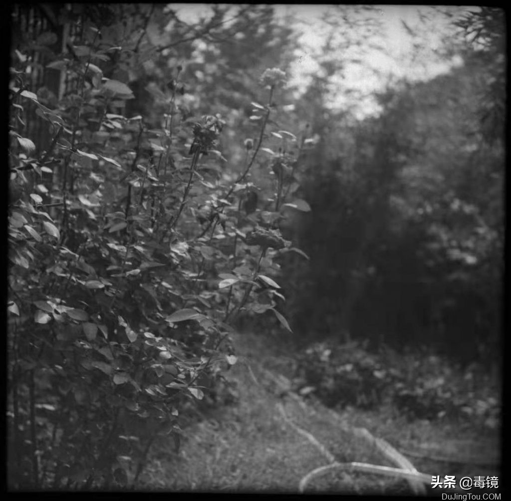 长城120中画幅单反胶片相机,长城df2中画幅相机胶卷