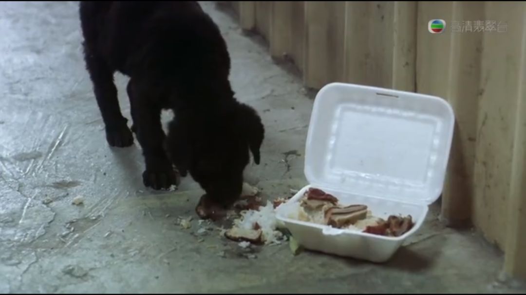 1999年喜剧之王内地电影院上映,1999喜剧之王香港上映时间