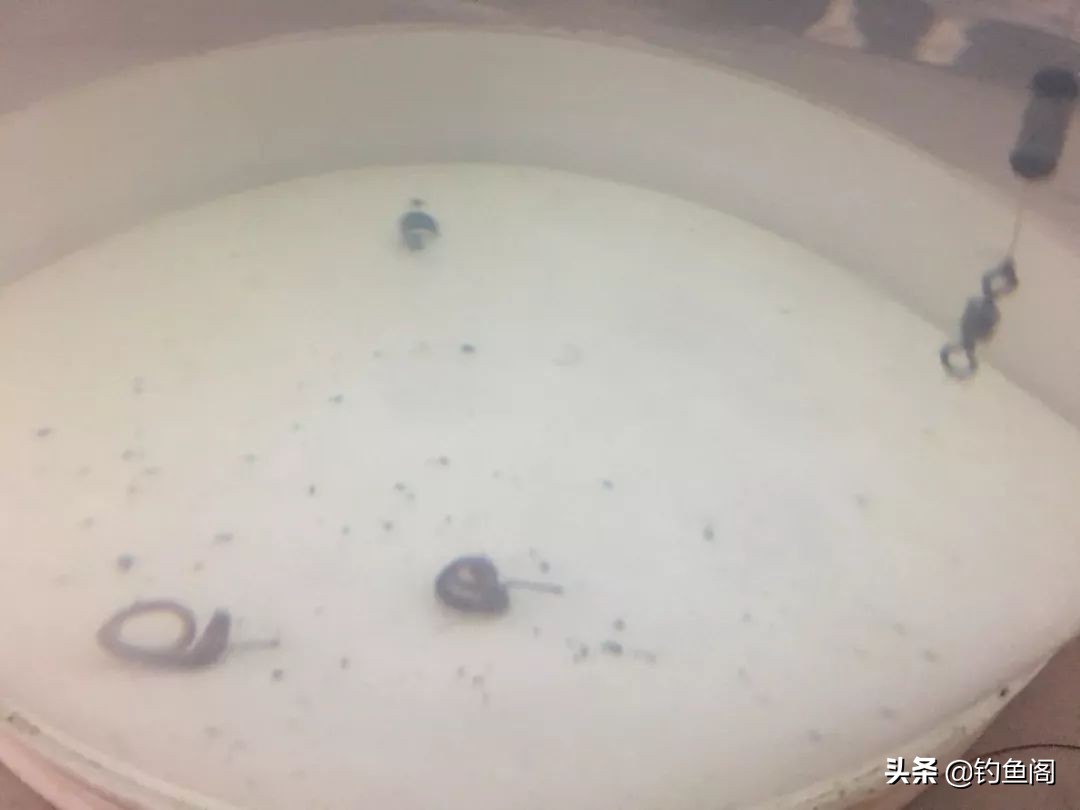 天冷鱼口轻怎么解决,天冷鱼口轻怎么用饵