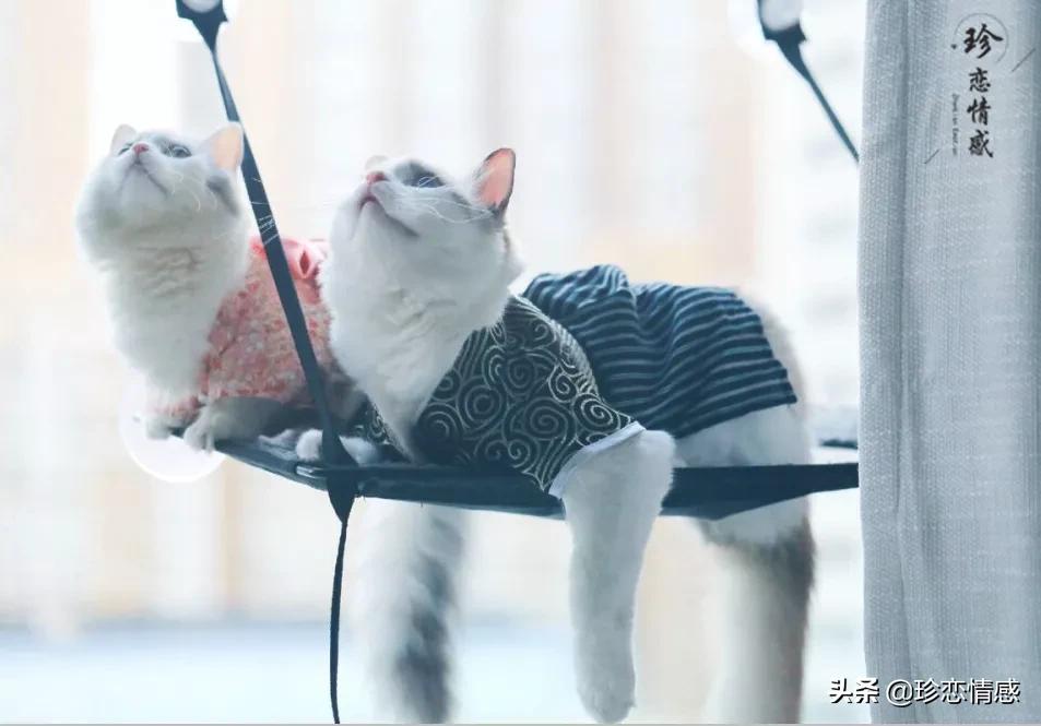 如何正确处理感情里的失落感,感情情绪低落焦虑怎么调节