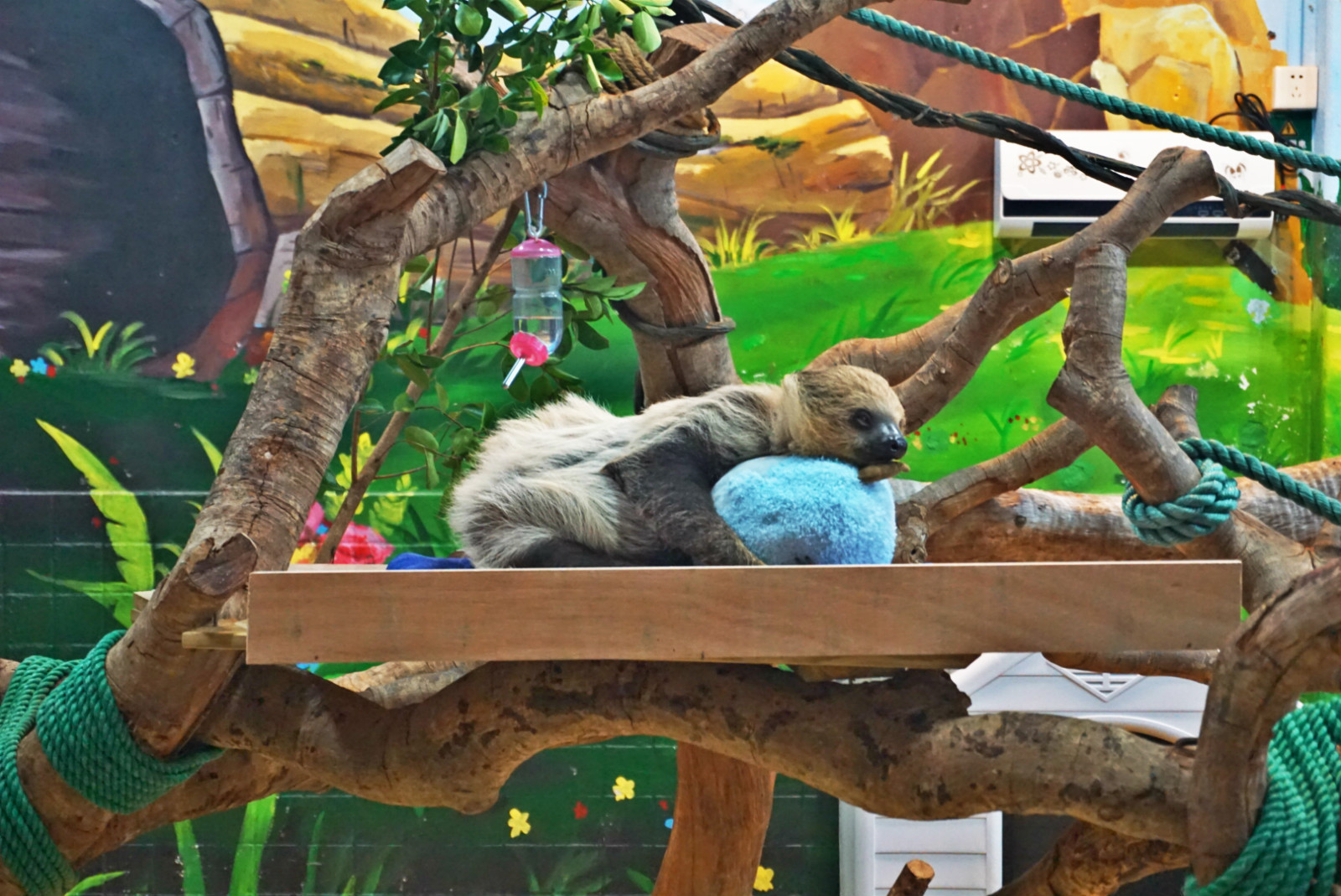 常州恐龙园和珠海长隆哪个好玩,珠海长隆海洋王国好玩吗