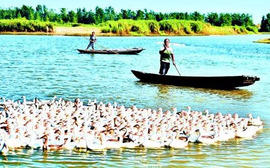 五一武汉市周边游,五一武汉周边短途旅游推荐