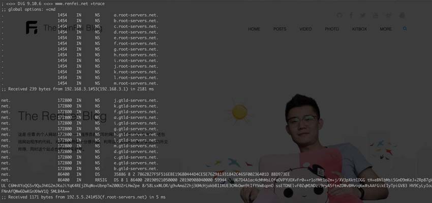 域名权威解析提升解析速度,域名反向解析解析不到
