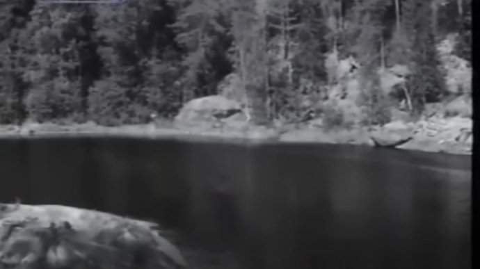 二战译制片这里的黎明静悄悄,译制片这里的黎明静悄悄国语版