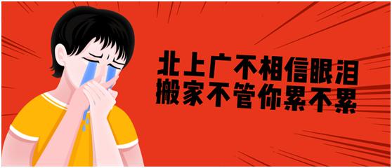 广州金蚂蚁,广州金蚂蚁公司