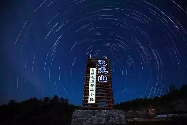 隐世原乡,又见桐花开。