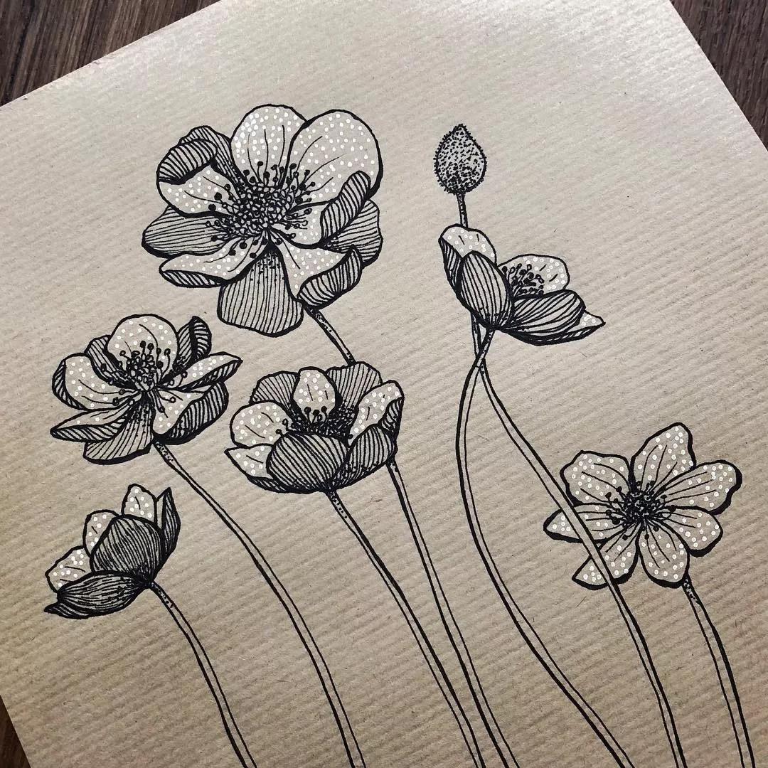 一看就懂的针管简笔画,针管笔入门手绘1000例临摹图