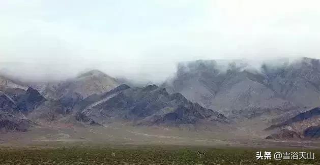 新疆若羌县祁曼塔格乡有多大,最大的县城若羌县