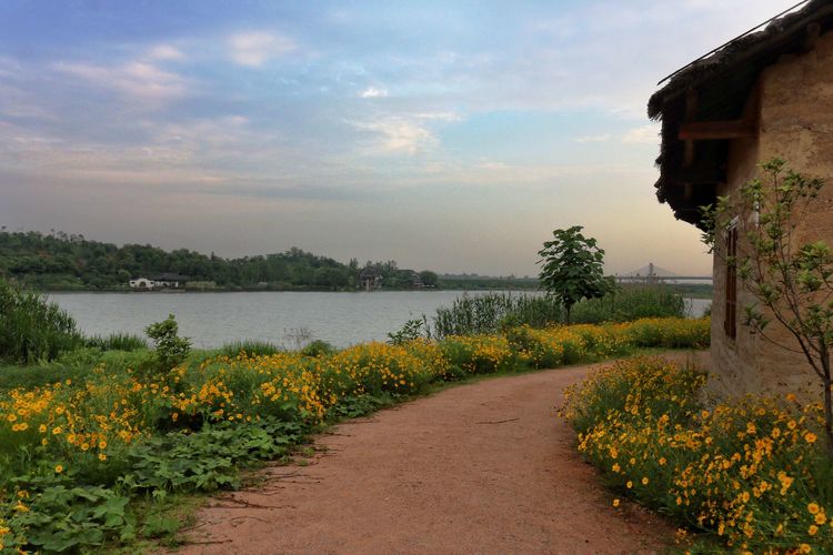 牧童遥指杏花村真正意思,牧童遥指杏花村的遥意思