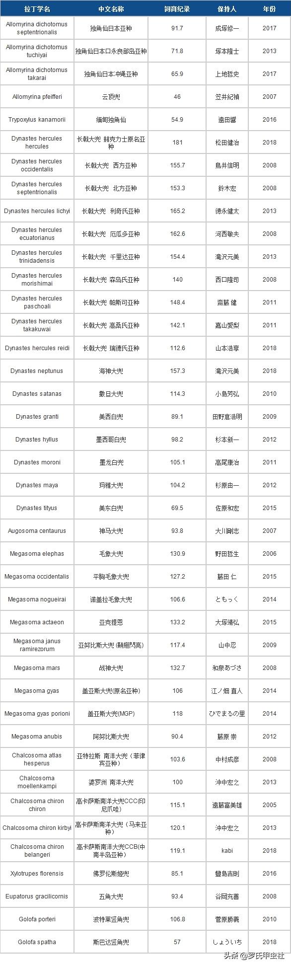 缃楁皬铏ぞ,缃楁皬铏ぞ涓婃捣