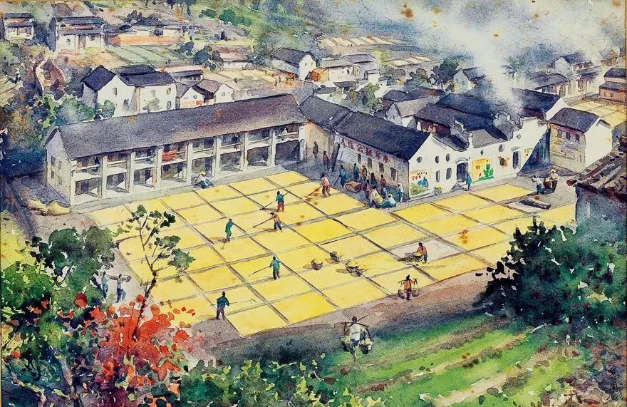 在这里晒太阳就省医疗费,大多数的人都不知道!等你来体验哦