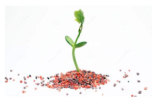 创世之沙严重不足，有什么解决途径？