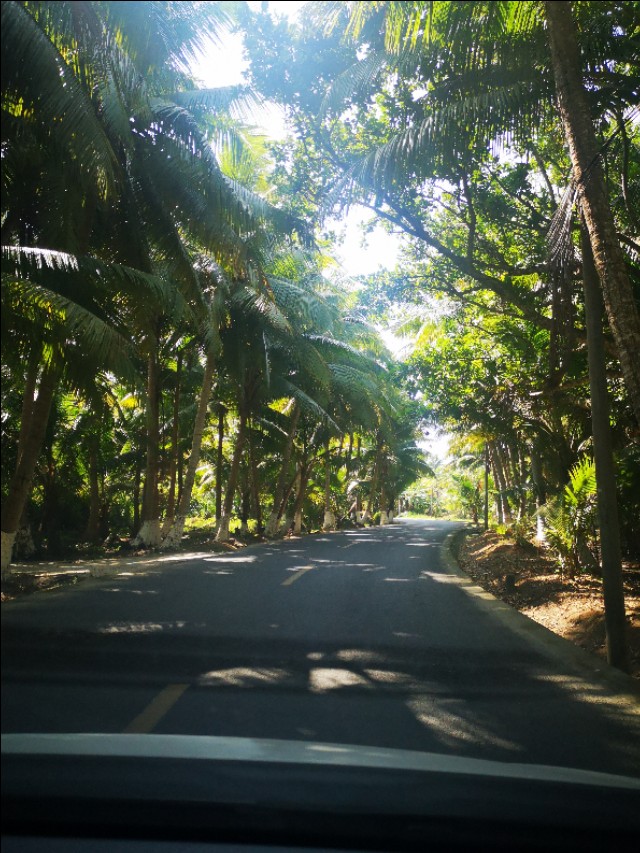 年末将至,欠自己的旅行你兑现了吗?平价自驾游等你来玩