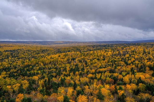 富士小巧轻便,富士轻便的相机
