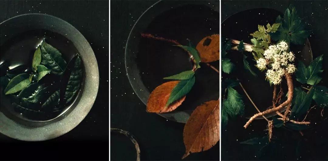 资生堂哪个系列性价比高,资生堂哪个系列效果最好