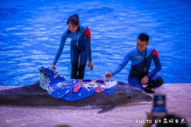 来珠海旅游必打卡的景点,春节珠海亲子游玩地方推荐
