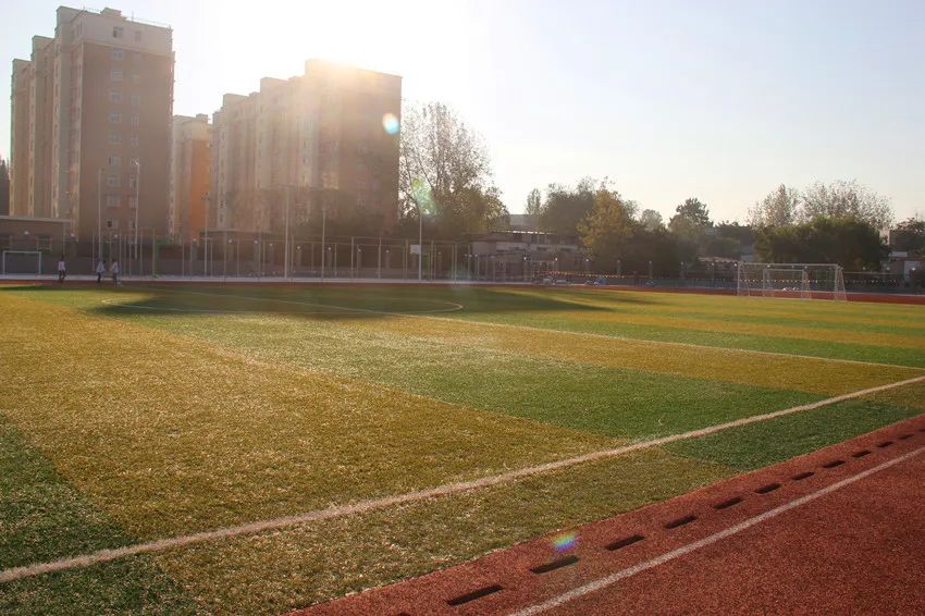 羊山外国语中学2024年招生时间,羊山外国语中学招生热线