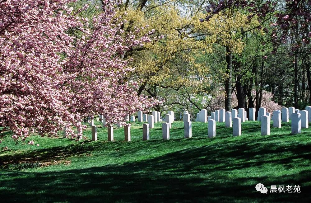 阿灵顿国家公墓站岗,阿灵顿公墓入葬标准