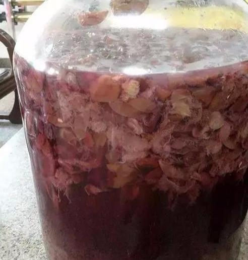 正宗葡萄酒做法视频教程,三分钟了解葡萄酒的酿造全过程