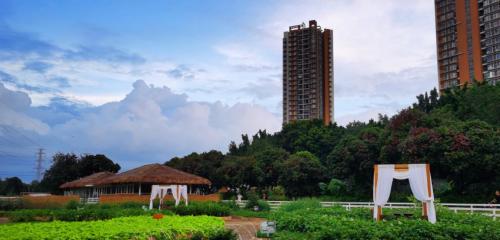 广州周末带娃好去处免费,广州遛娃的地方免费景点