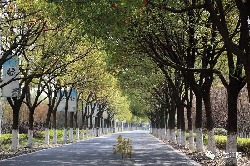江阴路的由来,江阴的路名
